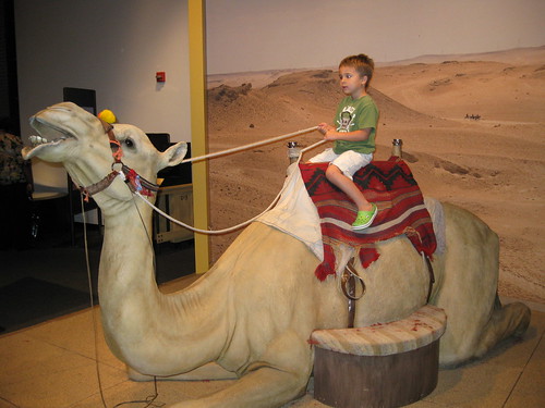 Ezra on the camel