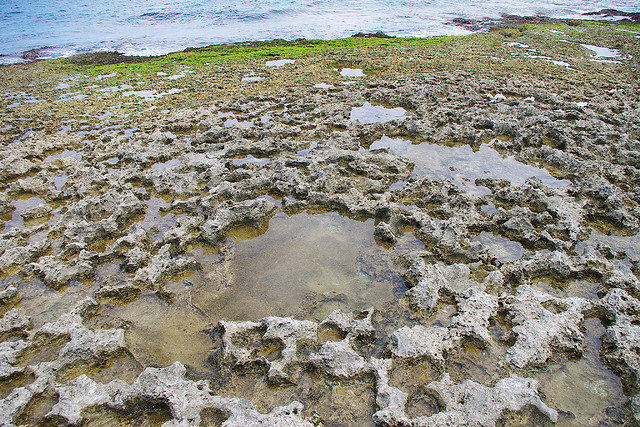 珊瑚礁地形