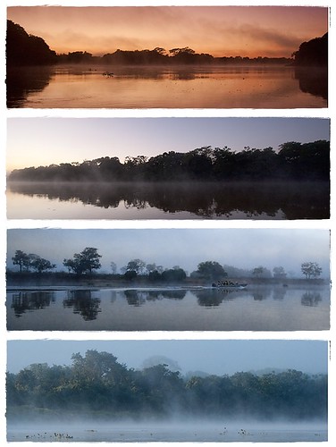 Pantanal dawn / amanecer en el Pantanal