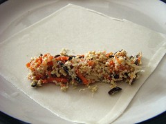 Tofu Filling on a Wrapper