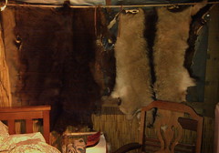 Goat Skin Curtains - click to view larger version on Flickr