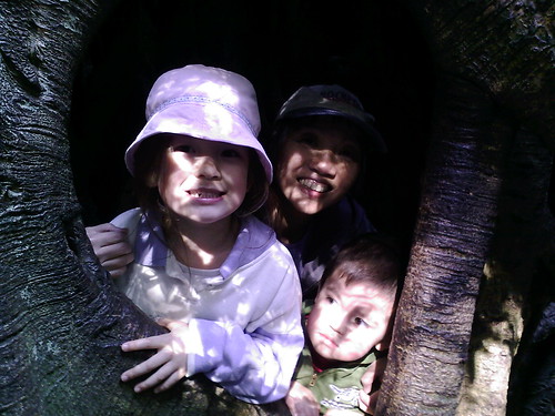 Anya, Aunt Jo & Callum in a Tree