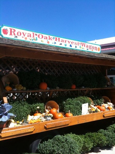Royal Oak Farm Orchard Market produce