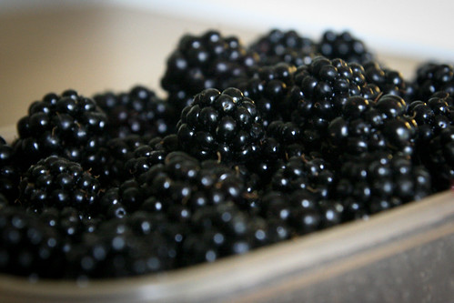 Foraged blackberries