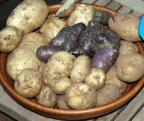 potatoes 2