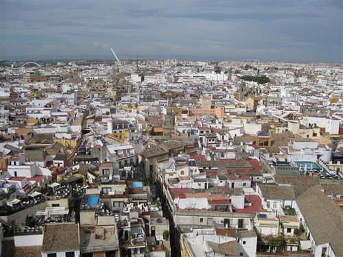 Seville (13)