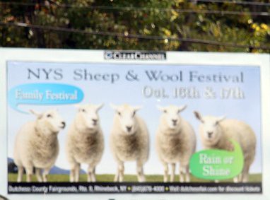 Wool Fest Sign