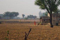 Rajasthan Bikaner 2010-10-3133
