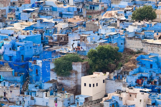 Blue City - Jodhpur, India