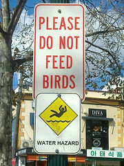 Don't feed to birds...