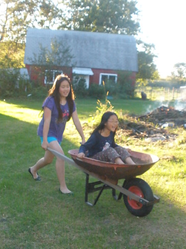 Having Fun in the Wheelbarrow