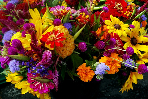 Farmers Market Flowers