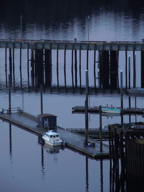 harbor pilings, Ketchikan, Alaska