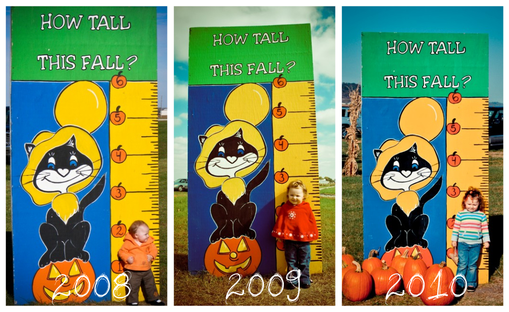 Emily, How Tall This Fall?