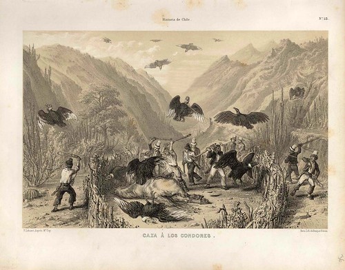024-Caza a los condores-Atlas de la historia física y política de Chile-1854-Claudio Gay