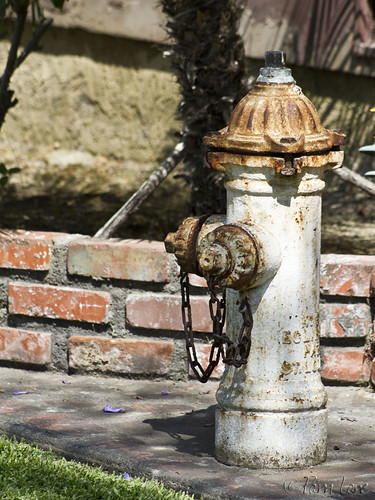 Fire hydrant yard art