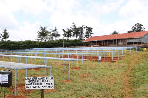 8 new drying tables funded by TW
