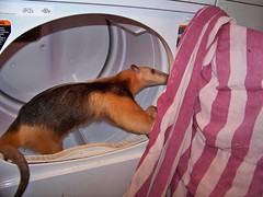 Checking out the drier
