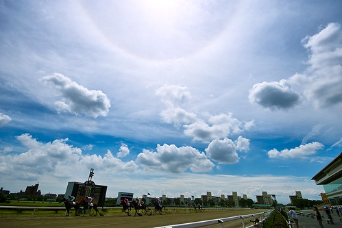 フリー写真素材|運動・スポーツ|競馬|空|雲|日本|愛知県|