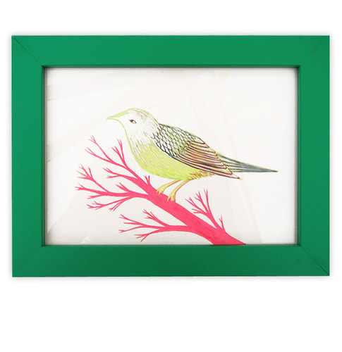 Green Bird Framed Original Drawing