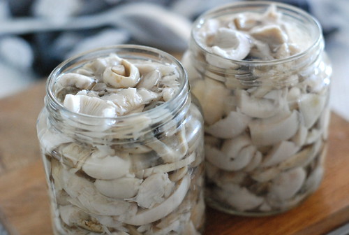 vähese soolaga pilvikud/salted mushrooms (russula)