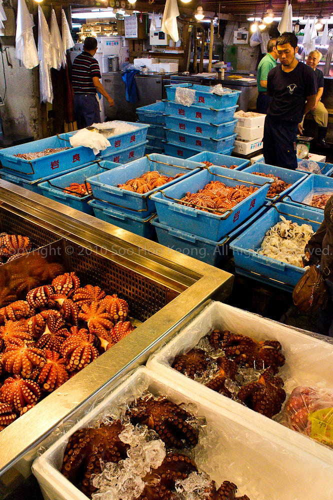 Seller @ Tsukiji Market, Tokyo, Japan