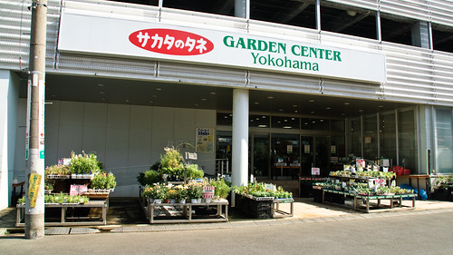 The garden center