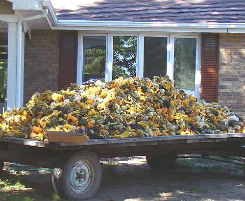 Wagon Load of Gourds