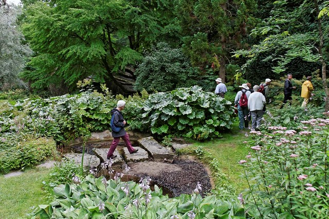 Norrviken Gardens