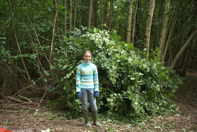 Coppicing in the woods