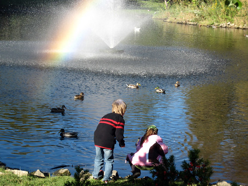 Kids Feeding the Ducks, Old Mill Pond