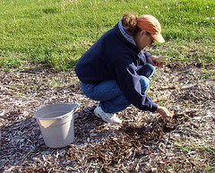 Me, Planting seeds May 2010