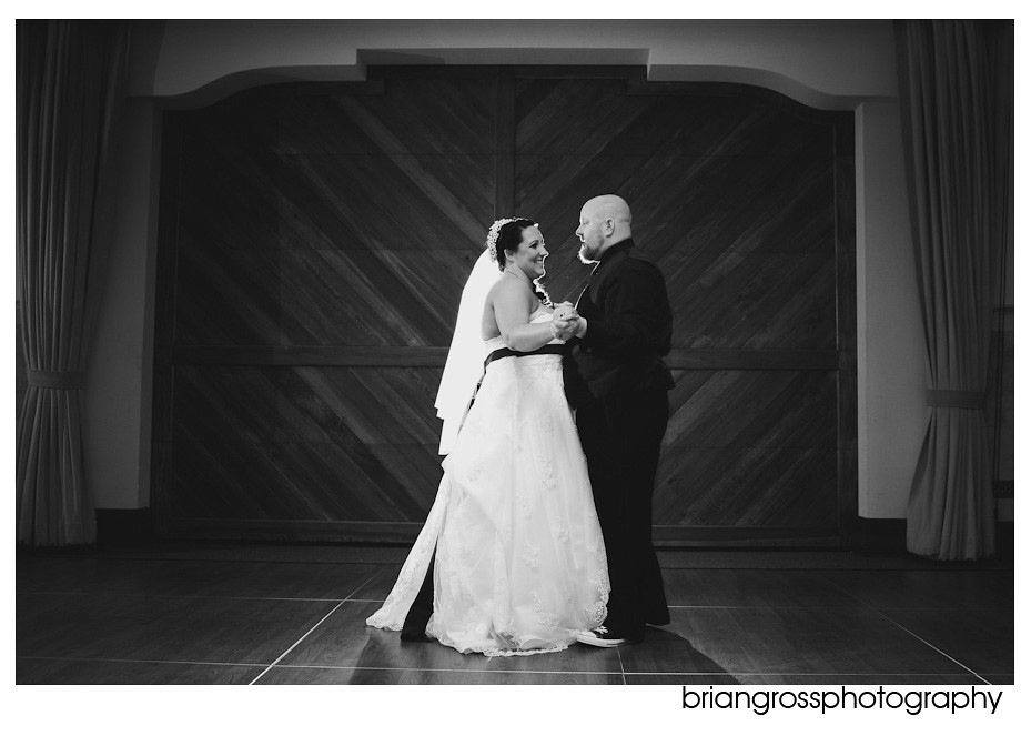 Tracy_Wedding_ShannonCommunityCenter_2010_BrianGrossPhotography167