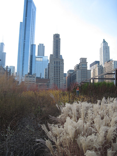 Millennium Park, Chicago. Fall 2010-12
