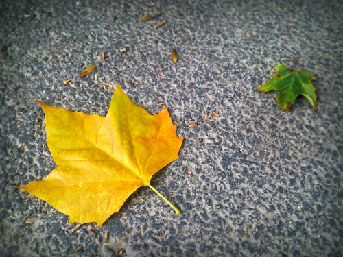 Day 104 - Autumn is a Coming