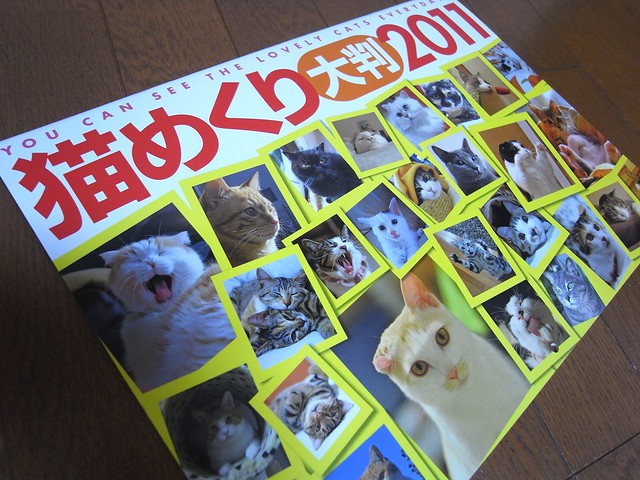 猫めくり大判2011