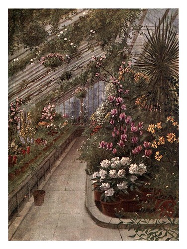 011-El invernadero-Kew gardens 1908- Martin T. Mower