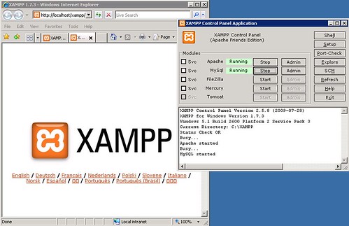XAMPP - runing Apache and MySQL