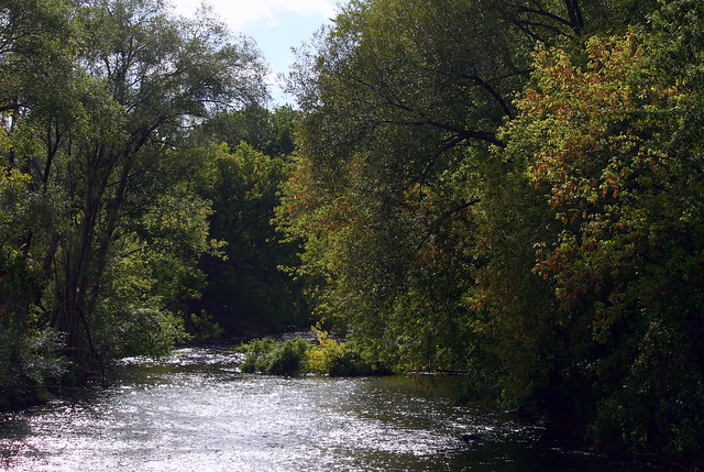Stateline Turtle Creek