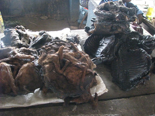 Bushmeat for sale in a one of Kindu's markets.