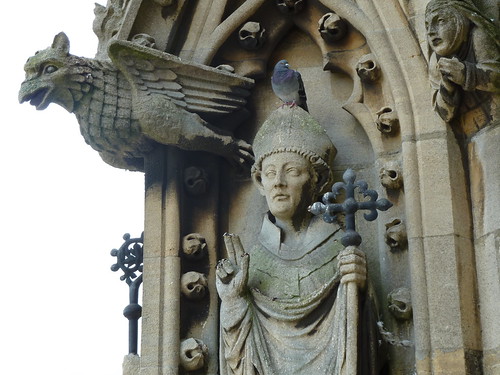 Pigeon on St. Mary's steeple