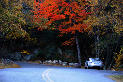Fall Color and Audi TT