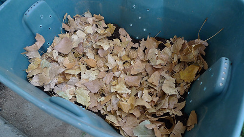 compost bin with leaves