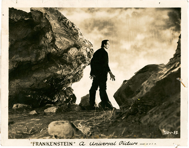 Frankenstein (Universal, 1931) 28
