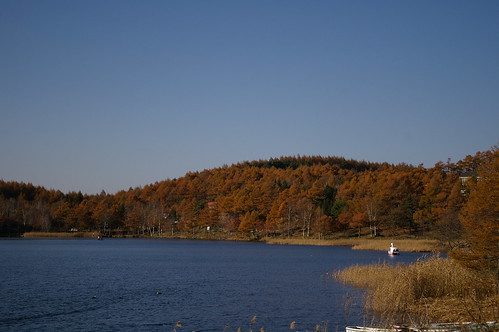 秋の女神湖