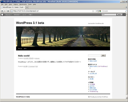WordPress 3.1 beta index