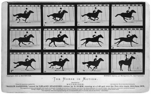 ‘The Horse in Motion’ (Sallie Gardner, owned by Leland Stanford), 1878