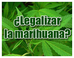 legalizacion