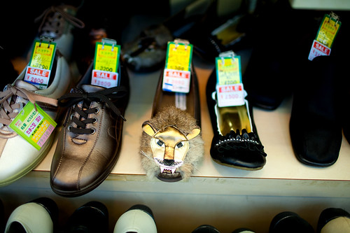 Lion shoe!