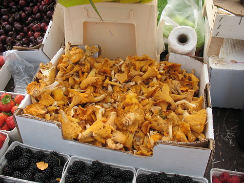 wild-collected chanterelle mushrooms